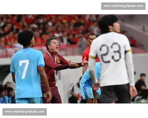 球迷狂欢！欧冠半决赛，为心中的球队呐喊助威！