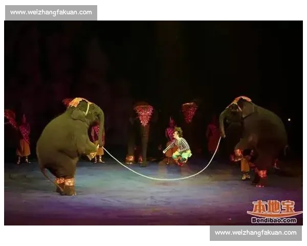 震惊！电竞世界文化节，颠覆你对游戏的想象！